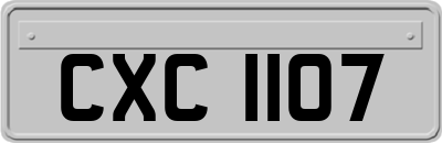 CXC1107