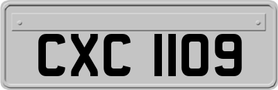 CXC1109