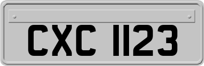 CXC1123