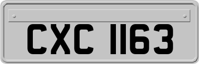 CXC1163