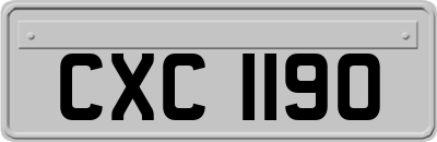 CXC1190