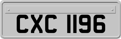 CXC1196