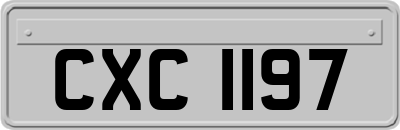 CXC1197