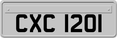 CXC1201