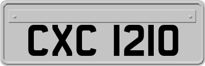CXC1210