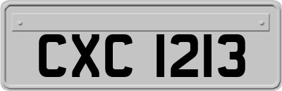 CXC1213