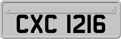 CXC1216