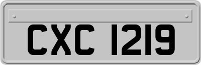 CXC1219
