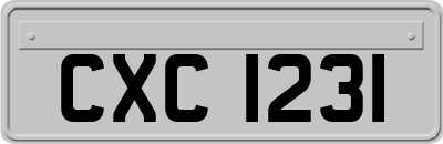 CXC1231