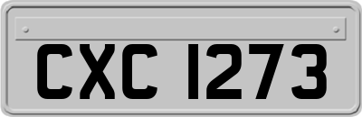 CXC1273
