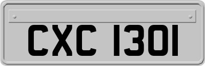 CXC1301