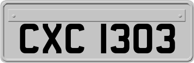 CXC1303