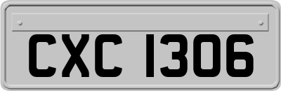 CXC1306