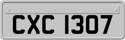 CXC1307