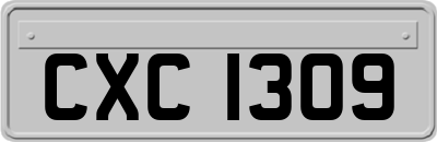 CXC1309