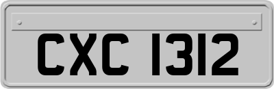 CXC1312