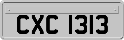 CXC1313