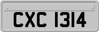 CXC1314