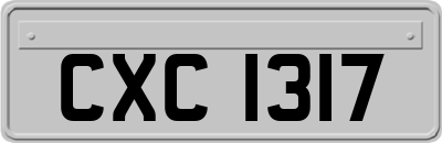 CXC1317