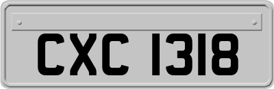 CXC1318