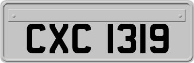CXC1319