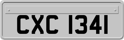 CXC1341