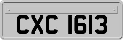 CXC1613
