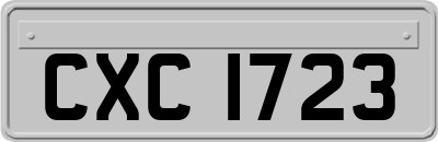 CXC1723
