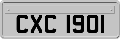 CXC1901