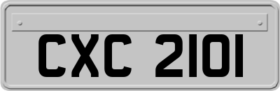 CXC2101