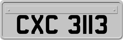 CXC3113