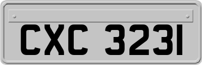 CXC3231