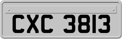 CXC3813