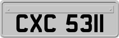 CXC5311