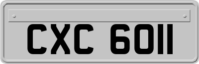 CXC6011