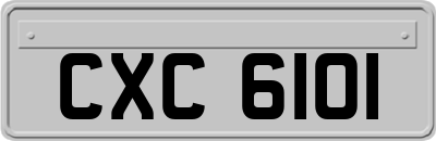 CXC6101