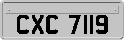 CXC7119