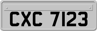 CXC7123