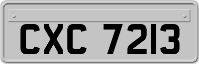 CXC7213