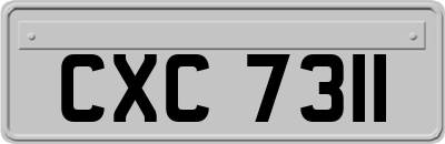 CXC7311