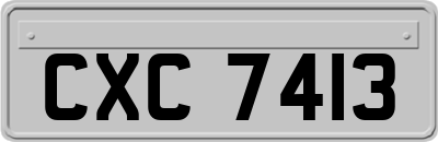 CXC7413