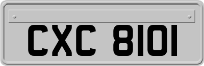 CXC8101