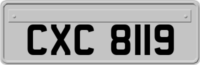 CXC8119