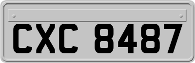 CXC8487