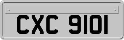 CXC9101