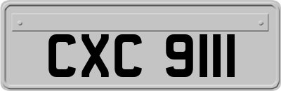 CXC9111