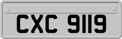 CXC9119