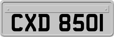 CXD8501
