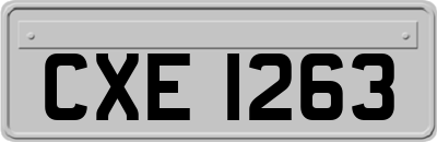 CXE1263