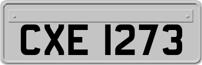 CXE1273